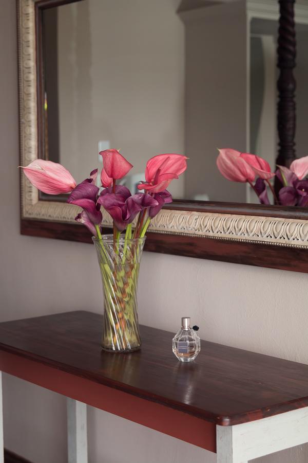 Annie'S Boutique Guesthouse And Garden Spa Hartbeespoort Kültér fotó